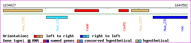 gene map