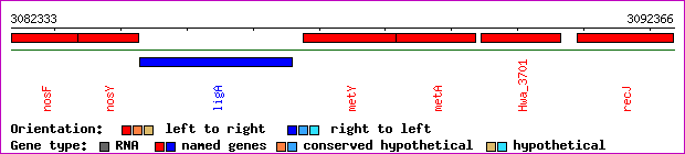 gene map