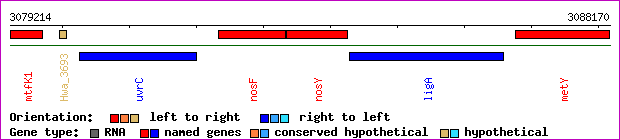 gene map