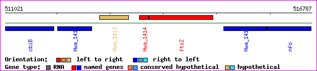 gene map