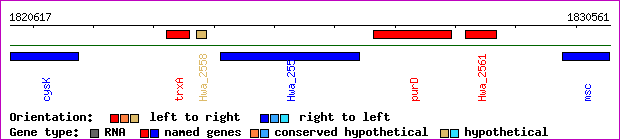gene map