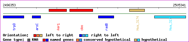 gene map