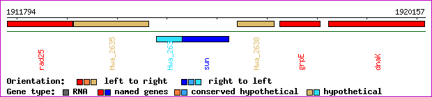 gene map