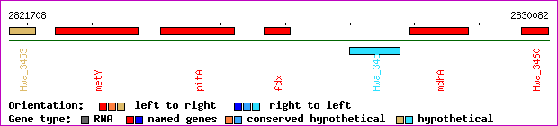 gene map
