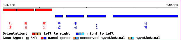 gene map