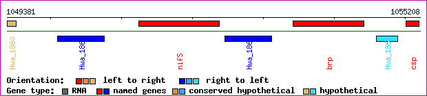 gene map