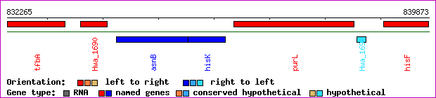 gene map