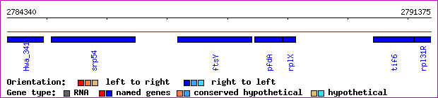 gene map