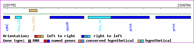 gene map