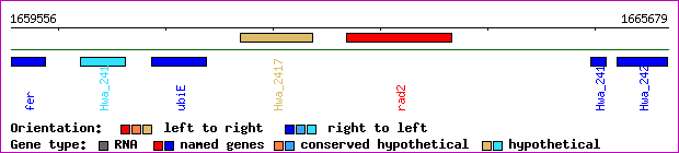 gene map