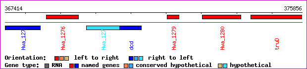 gene map