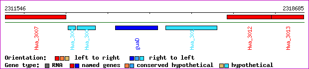 gene map