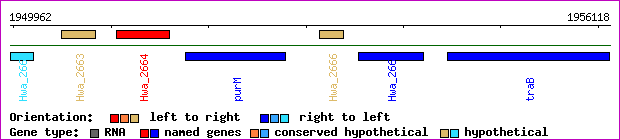 gene map