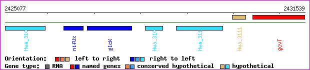 gene map
