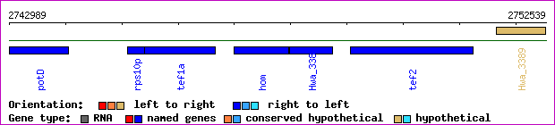 gene map