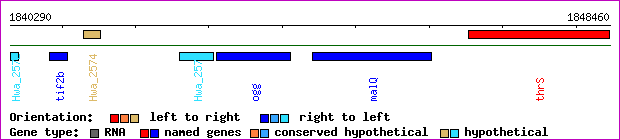 gene map