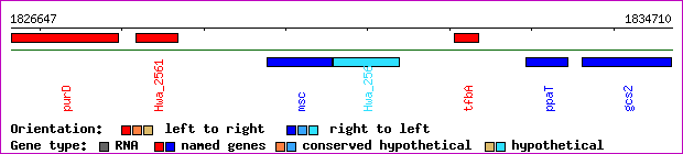 gene map