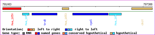 gene map