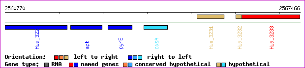 gene map