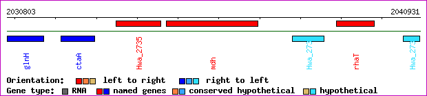 gene map