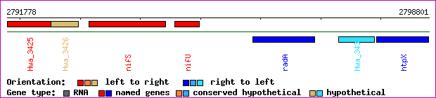 gene map