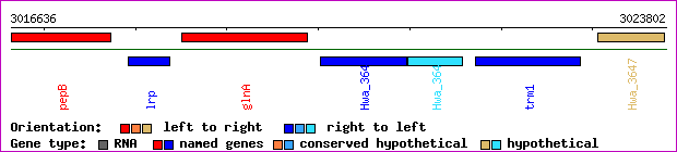 gene map