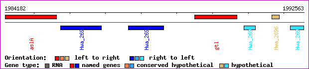 gene map