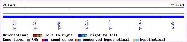 gene map