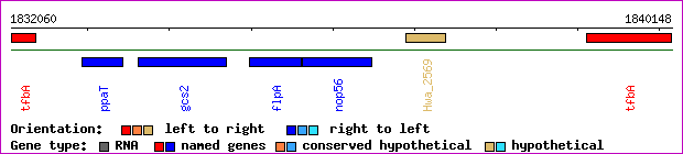 gene map