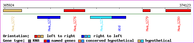 gene map