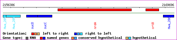 gene map