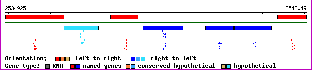 gene map