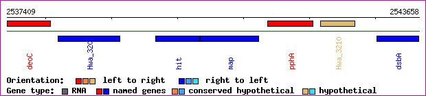 gene map
