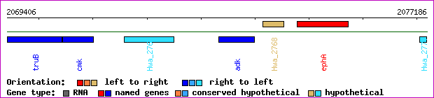 gene map