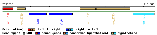gene map