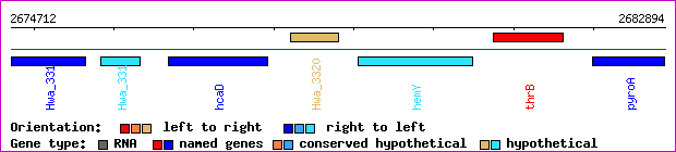 gene map