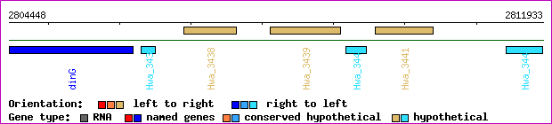 gene map