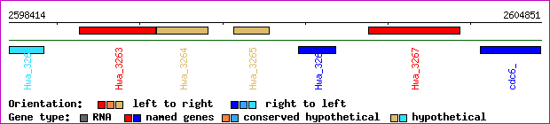 gene map