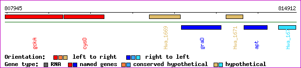 gene map