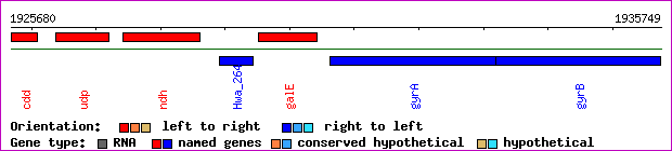 gene map