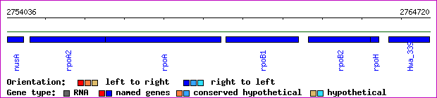 gene map