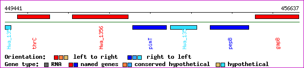gene map