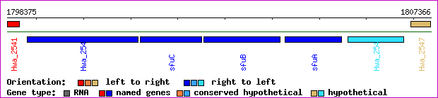 gene map