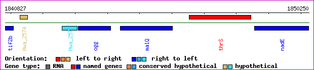gene map