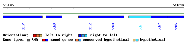 gene map
