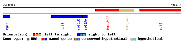 gene map