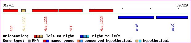 gene map