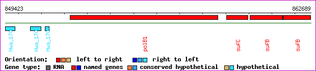gene map
