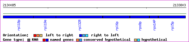 gene map