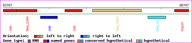 gene map